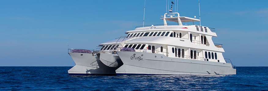 M/C Alia Galapagos Catamaran