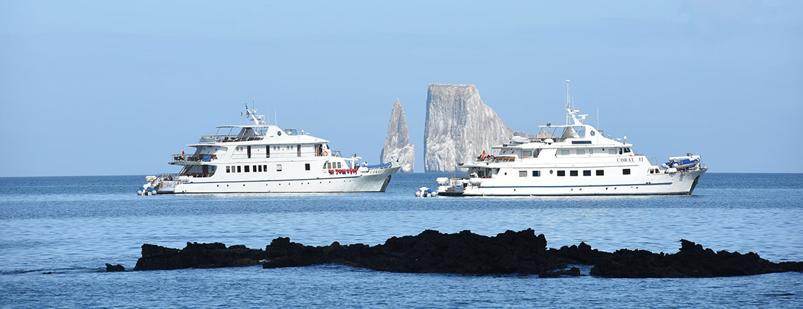 Coral I - Galapagos Yacht